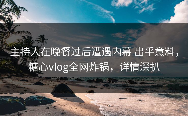 主持人在晚餐过后遭遇内幕 出乎意料，糖心vlog全网炸锅，详情深扒